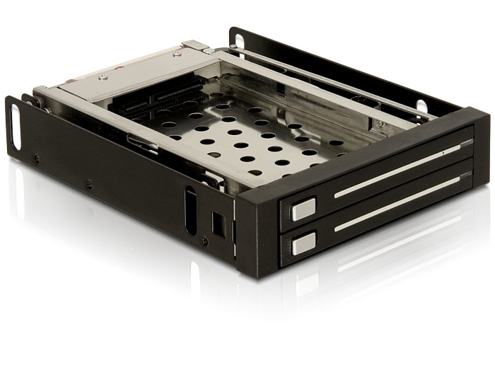 Delock 3.5" Wechselrahmen für 2x 2,5" SATA HDD