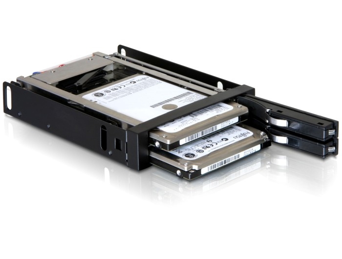 Delock 3.5" Wechselrahmen für 2x 2,5" SATA HDD