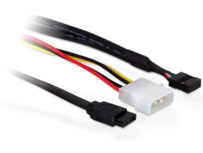 Delock Slotblech eSATAp 5V/12V + USB 2.0